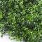 TENAX Divy Panel Buxus Intense 0,50 x 0,50 m Verde, Panel Modular con Hojas Artificiales Tipo Boj para Decoración de Pared Jardín Vertical