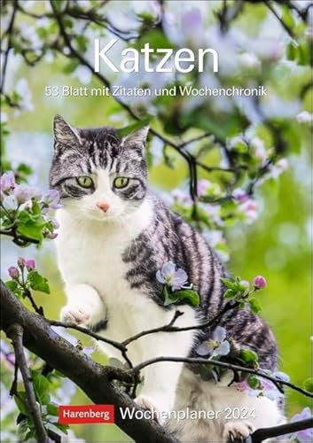 Katzen - Kalender 2024 - Harenberg-Verlag - Wochenkalendarium - 53 Blatt mit Zitaten und Wochenchronik - Wandkalender - 25 cm x 35,5 cm, Klein