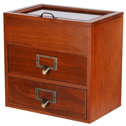 PACKGILO Aufbewahrungsbox aus Holz, Schreibtisch-Organizer mit 2 Schubladen und 6 Fächern, Apotheker-Schubladen, kleine Bastelaufbewahrungsbehälter, Schmuckhalter für Frauen (Glasbraun 02)
