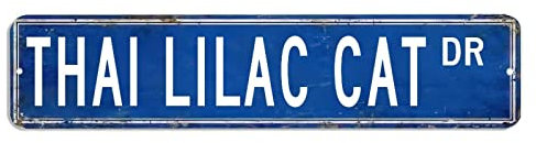 BYRON HOYLE Thai Lilac Cat Targa in Metallo Thai Lilla Gatto Regalo Thai Lilla Gatto Decorazione Thai Lilla Amante Del Gatto Segno Personalizzato Street Metal Sign Retro Shabby Chic Wall Art Wall