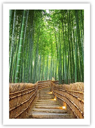ARTTOR Deco Affiches Murales 50x70cm Affiche Decoration Murale bambou plante Cuisine Wall Art Design Moderne Poster sans Cadre Tableau Decoration Salon Chambre Decor P2XPA50x70-3979