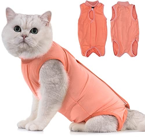 Avont Katzenbody nach OP Erholungsanzug Kleidung Modal Recovery Kastration Spay Entwöhnung Leckschutz Suit für Katze, Bauchwunden oder Hautkrankheiten-S-Koralle