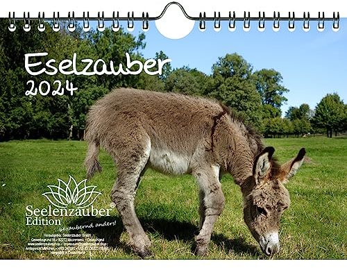 Eselzauber DIN A5 Wandkalender für 2024 Esel - Geschenkset Inhalt: 1x Kalender, 1x Weihnachts- und 1x Grußkarte (insgesamt 3 Teile)