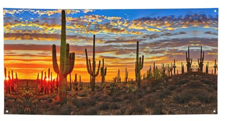 Bannières de fête d'anniversaire, jeux à thème - Idéales pour Halloween et Noël - Cactus coucher de soleil dans le désert