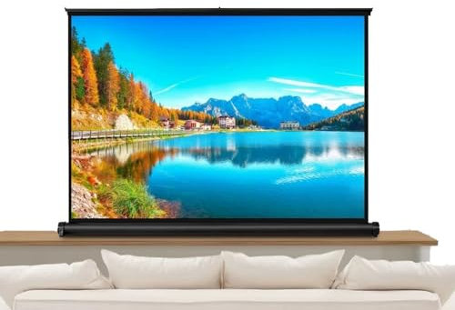 RTVGNSZSJL Portable Tabletop Projector Screen 20 30 40 50 Manual Pull Up Movie Screen HD Projection Screen With Carry Bag For Home Theater Studio(4:3,50inch)