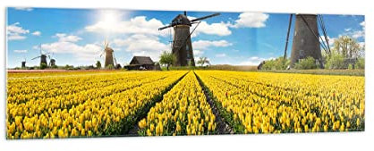 Panorama Bilder auf Glas 160x50cm Glasbild Tulpen Windmühle Wiese Landschaft Groß XXL Wanddeko Schlafzimmer Küche Wandbilder Dekoration Wohnzimmer Modern Wand Kunstdruck Art GAB160x50-2879