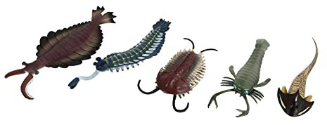 PHENOFICE 5pièces Figurines Animaux Marins Éducatifs De Modèles Réalistes pour Garçon Fille Jouets Cognitifs pour Développer Imagination Créativité