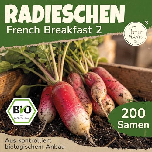 Little Plants BIO Rettich Samen 200 Rettichsamen French Breakfast Gemüsesamen für Gemüsegarten Samenfest Gemüse Samen für Küche, Balkon und Garten