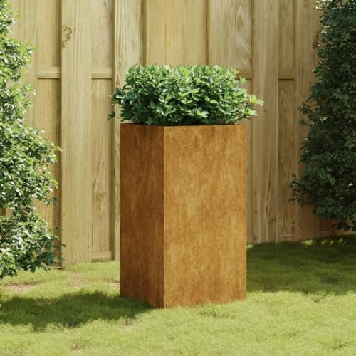 CIADAZ Jardinière 40x40x80 cm Acier corten,Jardiniere sur Pieds,Bac avec Treillis,Jardiniere Terrasse