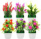 JINXIAN 6 Piezas Plantas Artificiales Decorativas Planta Artificial Aproximadamente 7,08 Pulgadas De Alto Mini Plantas Artificiales Adecuado para Sala de Estar Balcón Oficina Restaurante