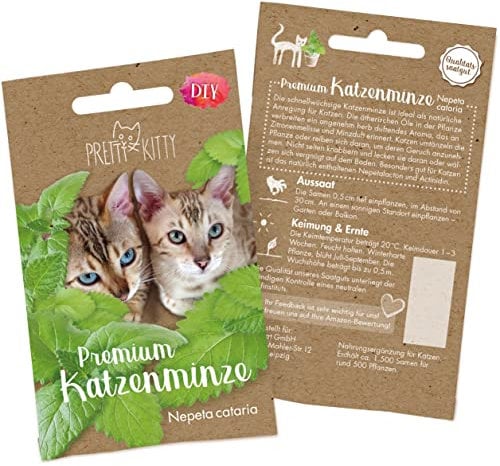 Pretty Kitty Katzenminze Samen: Premium Catnip Katzenminze Saatgut zur Anzucht Katzenminze Pflanzen, 1.000x Nepeta Cataria Samen für Topf und Garten