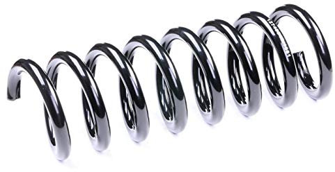 RIDEX 188C0409 Fahrwerksfeder Hinten Kompatibel mit MERCEDES-BENZ C-Klasse Limousine W203 2103243204 A2103243204 2103241704