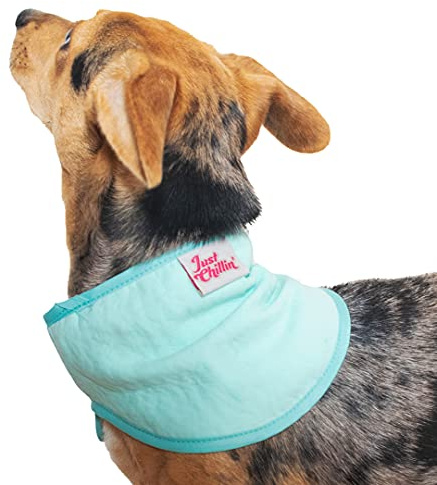 Pet Brands Cooling Bandana For Dogs 44x13cm, Pet Adjustable Cooling Collar - Small/Medium, Blue
