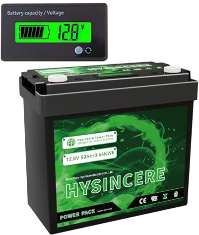 HYSINCERE Batteria Litio LiFePO4 12V 50Ah con Schermo LED, Batteria Litio BMS 50A Incorporato,10 Anni di Durata,Fino a 15000 Cicli Profondi per RV, Solare, Trolling Motor e Off-Grid