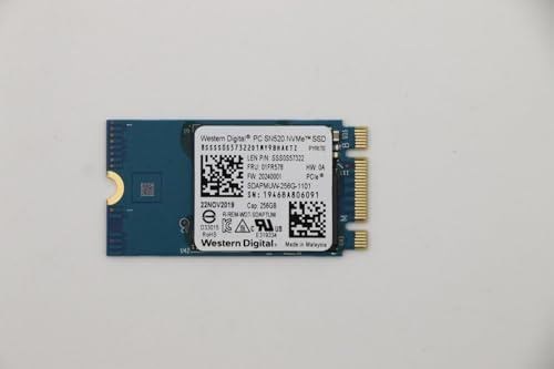 Lenovo SDK 1101 256G M.2 PCIe 2242 SS, FRU01FR578