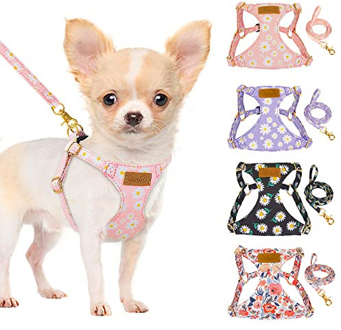 SlowTon Puppy Harness and Leash Sets - No Pull Soft Dog Harness Small Dog Adjustable Lightweight Vet Harness Ideal for Walking Running Training for Puppy Small and Medium Sized Dog