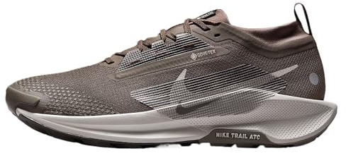 Nike Men's Pegasus Trail 5 Gore-tex Sneaker, Ironstone/College Grey/Velvet Brown, 7 UK