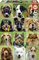 Educa 17963, Hundecollage, 500 Teile Puzzle für Erwachsene und Kinder ab 10 Jahren, Rassehunde, Hundepuzzle, Tierpuzzle