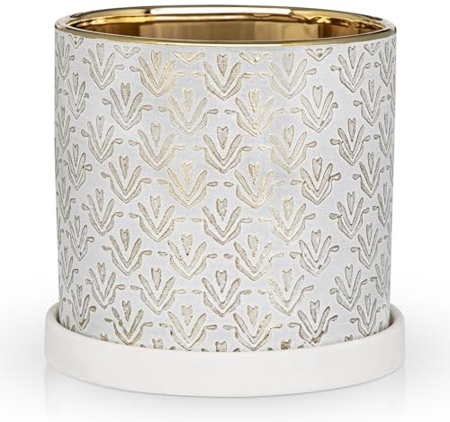 Arborus Macetas de cerámica de oro blanco de 13 cm, maceta moderna con platillo y agujeros de drenaje, maceta pequeña con patrón de flores para suculentas, orquídeas, plantas de interior, decoración