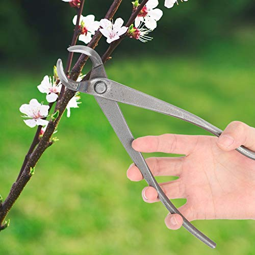 TYCIONG Outil de Cisaillement de Jardin, branches de bonsaï Léger en Acier au Carbone pour Couper les Arbres Fruitiers D'intérieur et D'extérieur