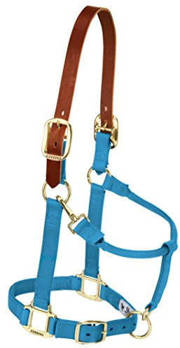 Weaver Equine Nylon Horse Halter, Triple-Ply Cheek Design, Original Non Adjustable Halters for Horses, Equine Tack,Average Size, Black