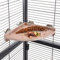 HappyBird | Eck - Sitzbrett 18 x 18 cm ideal für den Wellensittich, Nymphensittich & Papagei - Ecksitzbrett ideal für Käfig & Voliere