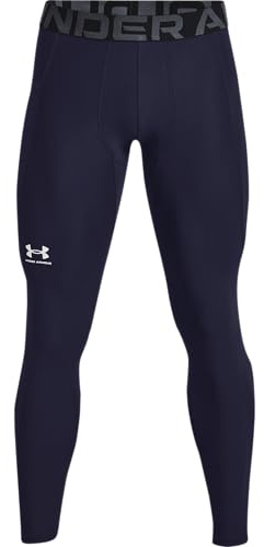 Under Armour Baselayer HG Leggings blau, L-T Herren