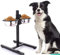 Mangeoire pour Chien INOX + Support Hauteur Réglable, Acier Inoxydable,Porte-gamelles - idéal pour Chiens Grands ou Vieux (Noir)