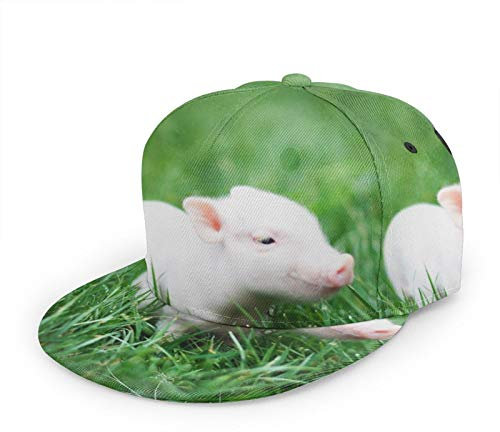 Oaieltj Unisex Baseball Cap Herren Damen Verstellbare Snapback Trucker Mütze Mode Hip-Hop Baseball Cap, Süßes Baby-Schwein, grünes Gras, One size
