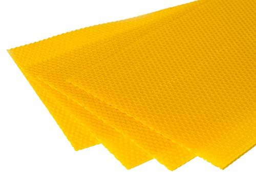 Deutsch Normalmaß Mittelwände 1kg pestizidfrei 350x200mm 100% Bienenwachs