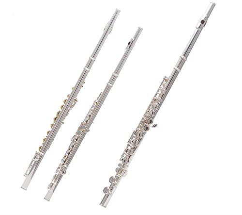 Offene/Schließen Loch C Flöten 16 Tasten Silber Überzogene Flöten-Set-Musikinstrument Mit Flöte-Stand-Fall Querflöte