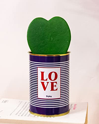 Regalo San Valentino - Pianta a forma di cuore con vaso - Hoya Kerrii - Styley