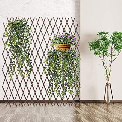 ZHEYANG Rankgitter Holz Absperrgitter Gartenzaun Garten Zierzaun, Holzgitter ausziehbar, freistehendes Holzgitter verstellbar, bis zu 200 cm für Garten Balkon Terrasse(Size:S)