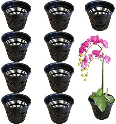 Fituenly Pentola a Radice in Mesh Pentola Trasparente per Orchidea Cattleya Piantagione con Fori d'Aria Decorazione per La Casa in Plastica