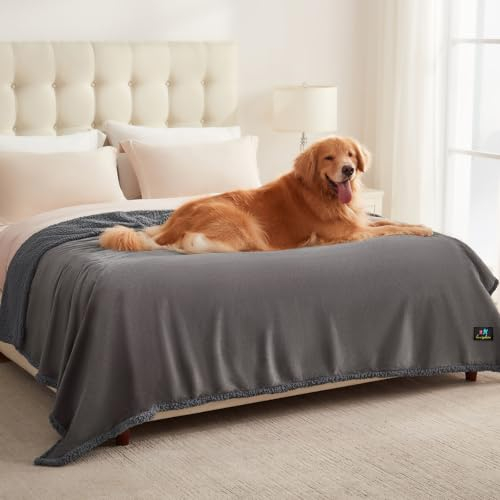 luciphia wasserdichte Hundedecke, Hunde Decke für Hund Katzen Groß Waschbar, Haustierdecke Wasserfeste Flauschig Sherpa Fleece, Wasserdicht Decke für Sofa Couch Bett, Lichtgrau XL (145 * 216cm)