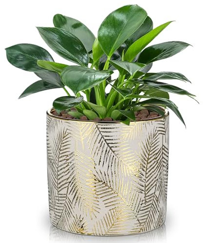 Hollyone 13.5CM Ceramic Plant Pot, Plant Planter with Drainage Hole and Plug, Decorative Garden Pot with Gold Patterns, Handmade Pottery for Succulent, Cactus, Orchid, Herb, House Plant