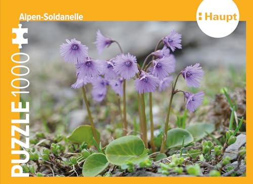 Alpen-Soldanelle – Puzzle