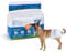 Nobleza Hund Windeln Einweg Weiblich Welpen Training Windeln Super Absorbent Pet Wraps 12 Pack, Größe XXL