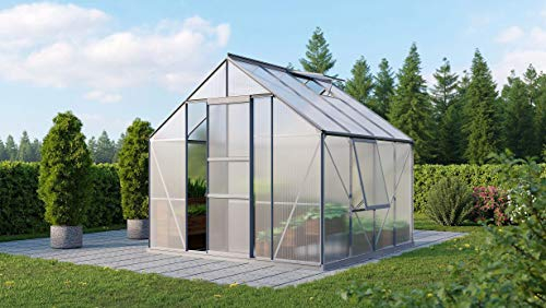 Vitavia Meridian 1 6700 HKP 6 mm Gewächshaus 2 Dachfenster 1 Seitenfenster Hobbygärtner
