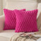 Mandioo 2er Set Rosa Rot superweichen dekorative Plüsch Kissenbezug Kissenbezüge 50 x 50 cm Wollsamt Dekokissenbezüge Kissenhülle Sofakissen Dekokissen flauschig für Couch Sofa Bett Wohnzimmer