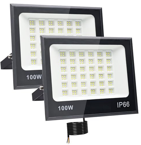 Tkdaksy 2 Piezas Focos LED Exterior 100W, 2M Cable Blanco Frío 6500K Proyector LED Exterior, Resistente al Agua IP66 Foco Proyector Led, 10000LM para Terrazas, Patios, Balcones, Parques, Garajes
