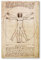 Postereck - 0125 - Zeichnung Leonardo da Vinci, Gesundheit Mensch - Unterricht Klassenzimmer Schule Wandposter Fotoposter Bilder Wandbild Wandbilder - Poster - DIN A3-29,7 cm x 42,0 cm