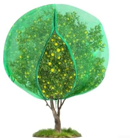 Gartennetztaschen mit Reißverschluss und Kordelzug, ultrafeines Netz, atmungsaktiv, Obstbaumnetz, Pflanzenschutz, Anti-Vogel-Insektenschutz für Sträucher, Heidelbeersträucher (3 x 4 m)