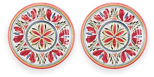 Purely Home Mediterranean - Outdoor/Camping/Picnic - Melamine/Plastic Dinner Plates (2)