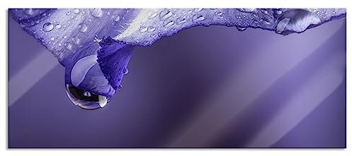 Pixxprint Glasbild Panorama, Wandbild aus Echtglas, Lila Blüte mit Tropfen, 100x40 cm, inkl. Aufhängung und Abstandshalter