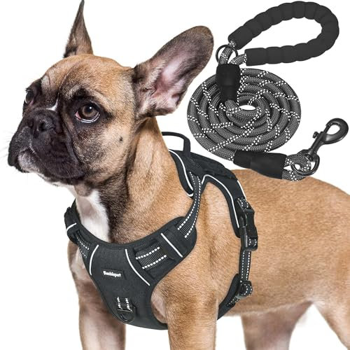 Beebiepet Strapazierfähiges, taktisches Hundegeschirr für mittelgroße Hunde, kein Ziehen, verstellbares Haustiergeschirr, reflektierend, Service-Training, einfache Kontrolle, Haustierweste, Militär,