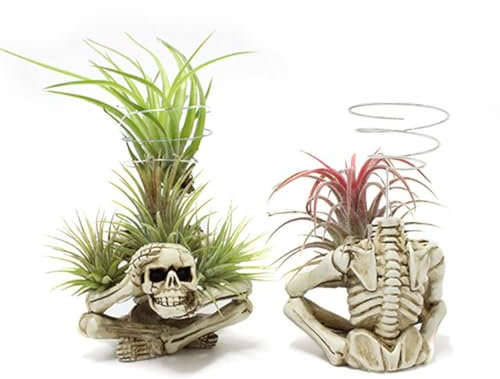 Abaodam Metallhalter Blumentöpfe Blumentopf Übertopf rhalter -r Regale für Luftpflanzen Gartenbedarf Ausstellungsstand für Luftpflanzen Halterung Luftpflanzenstände