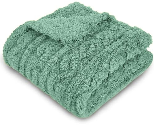 Homebliss Coperta Pile in Extra Morbido, Coperta Singolo Flanella Certificato Oeko-TEX®, Coperta Divano, Plaid Letto, Coperta Foulard, Copriletto, Copridivano (130 x 150 cm,Verde Acqua)