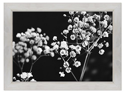 QUADRO SU TELA CANVAS INTELAIATO - CON CORNICE - Fiori di Pesco - Foto bianco e nero - Fiori Rosa - 70x100cm - Stile Country Bianco Shabby - (cod.3617)