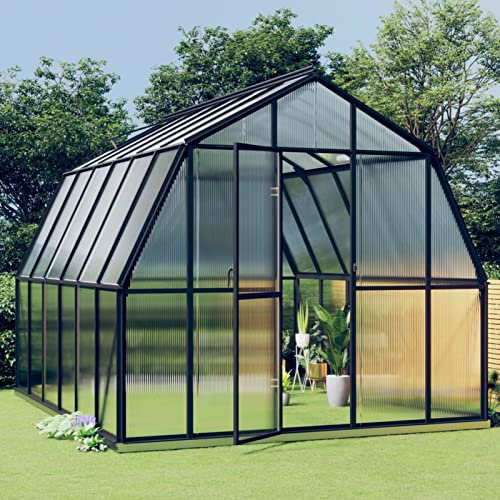 Tidyard Serra,Grande,da Giardino,per Esterno,in Alluminio Antracite e Policarbonato,282x338x243 cm,9,53 m²,Serra per Piante,Serra da Esterno,Serra in Policarbonato,Serra Grande,Serra da Giardino